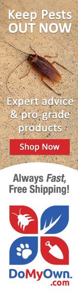 do it yourself pest control products and supplies