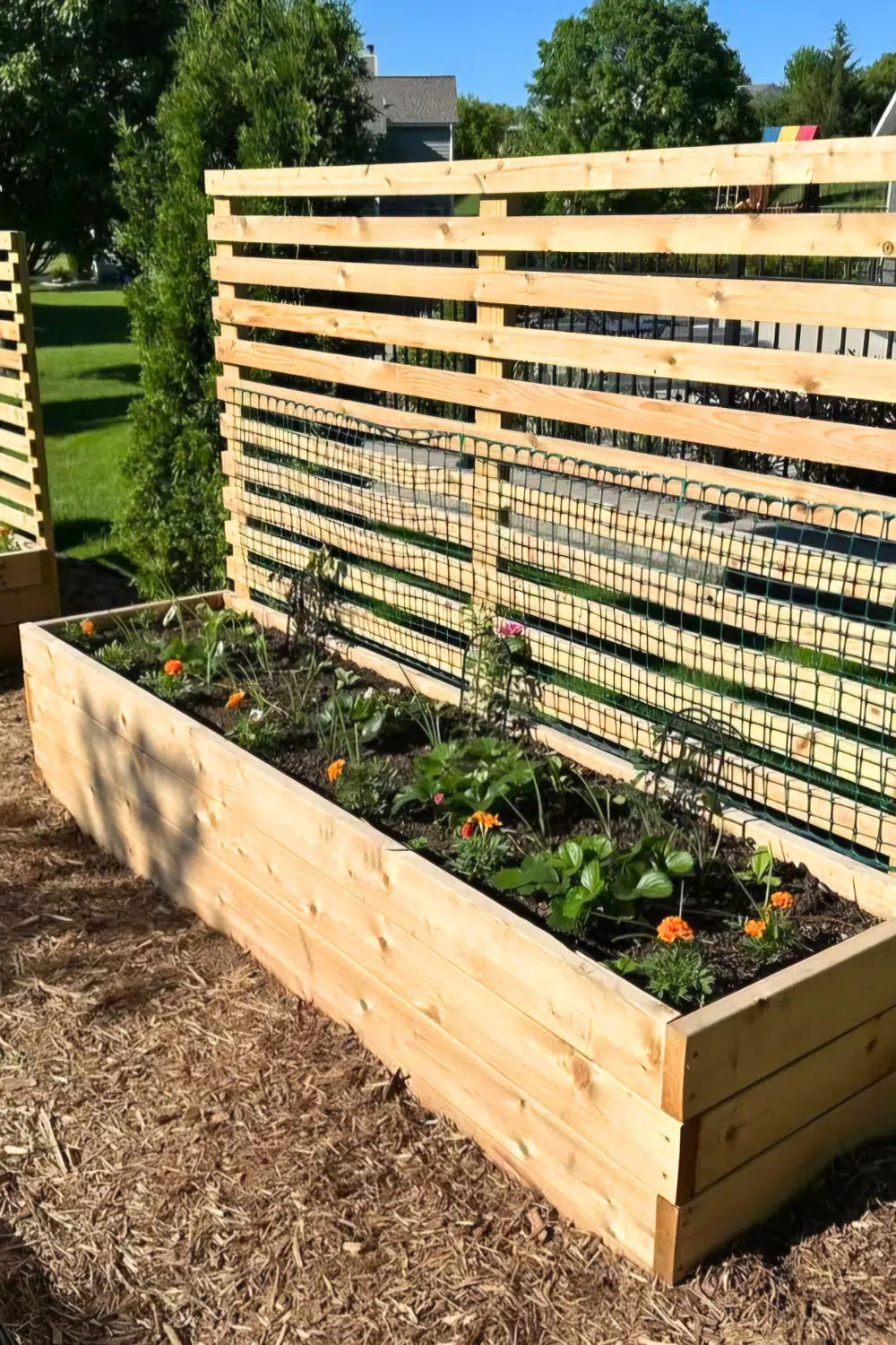 Wooden backyard planter and fence in a sunny yard