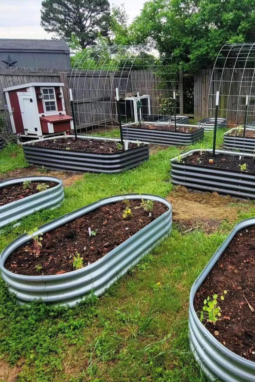 Backyard planting bed near open lawn space