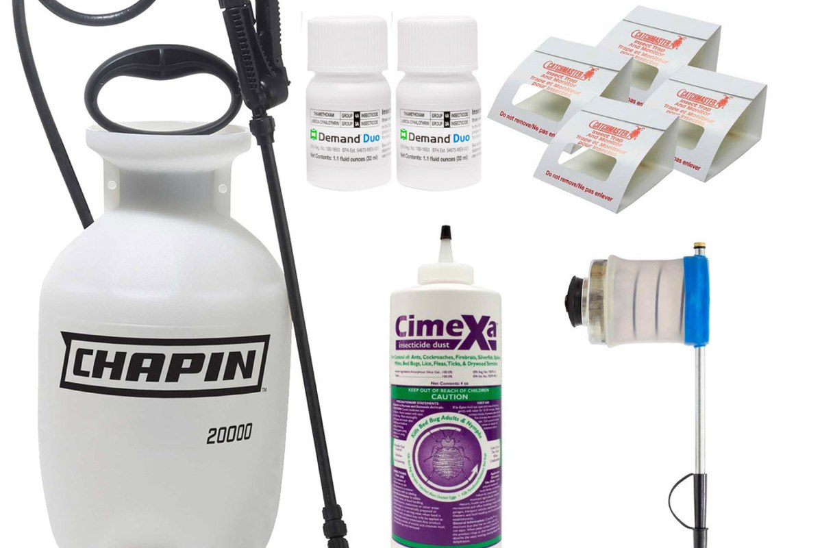 Family Pest Control Plan: Calm Steps for Kitchens, Doors, and Play Areas